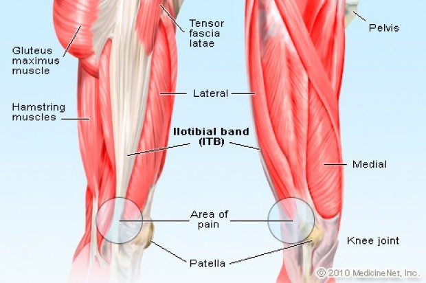 lower leg muscles for myofascial release after training
