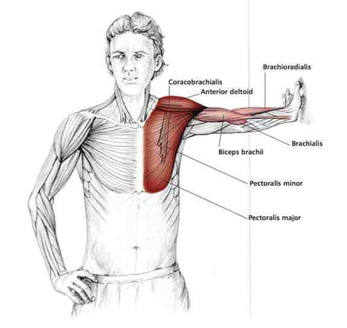 chest stretch to prevent shoulder problems