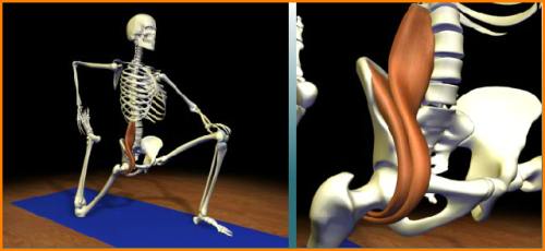 Make Your Psoas Happy: Sit Less and Perform Better